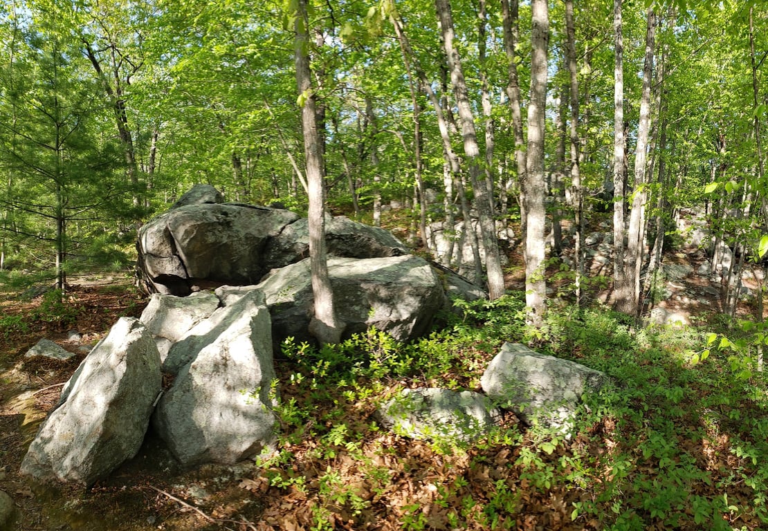 Lincoln Woods State Park