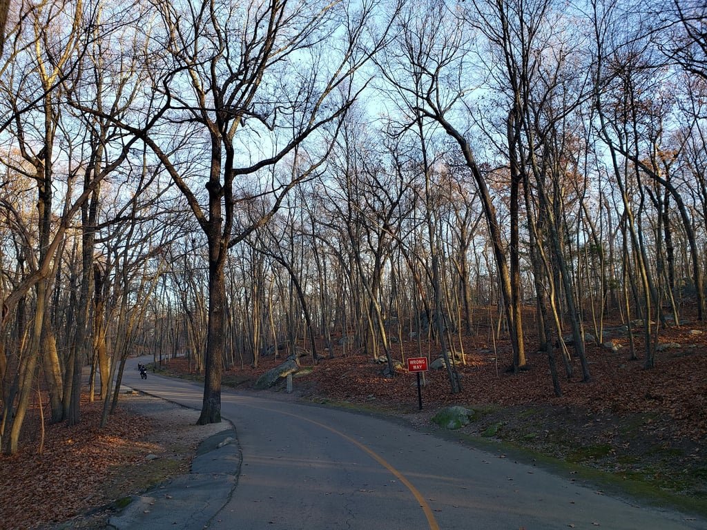 Lincoln Woods State Park