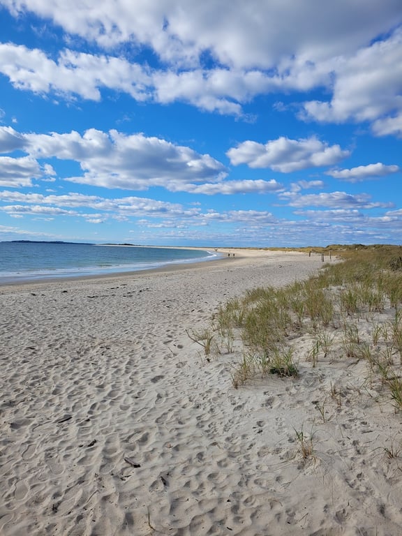 Napatree Point Conservation Area