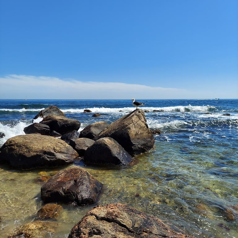 Napatree Point Conservation Area