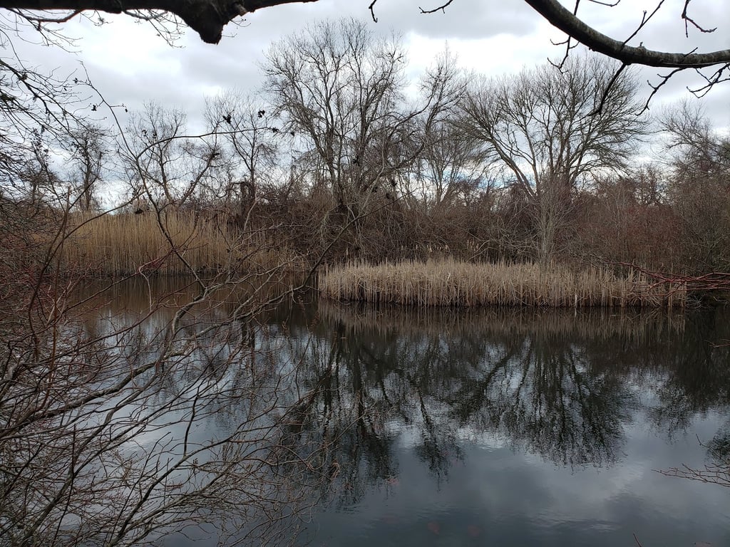 Ninigret National Wildlife Refuge