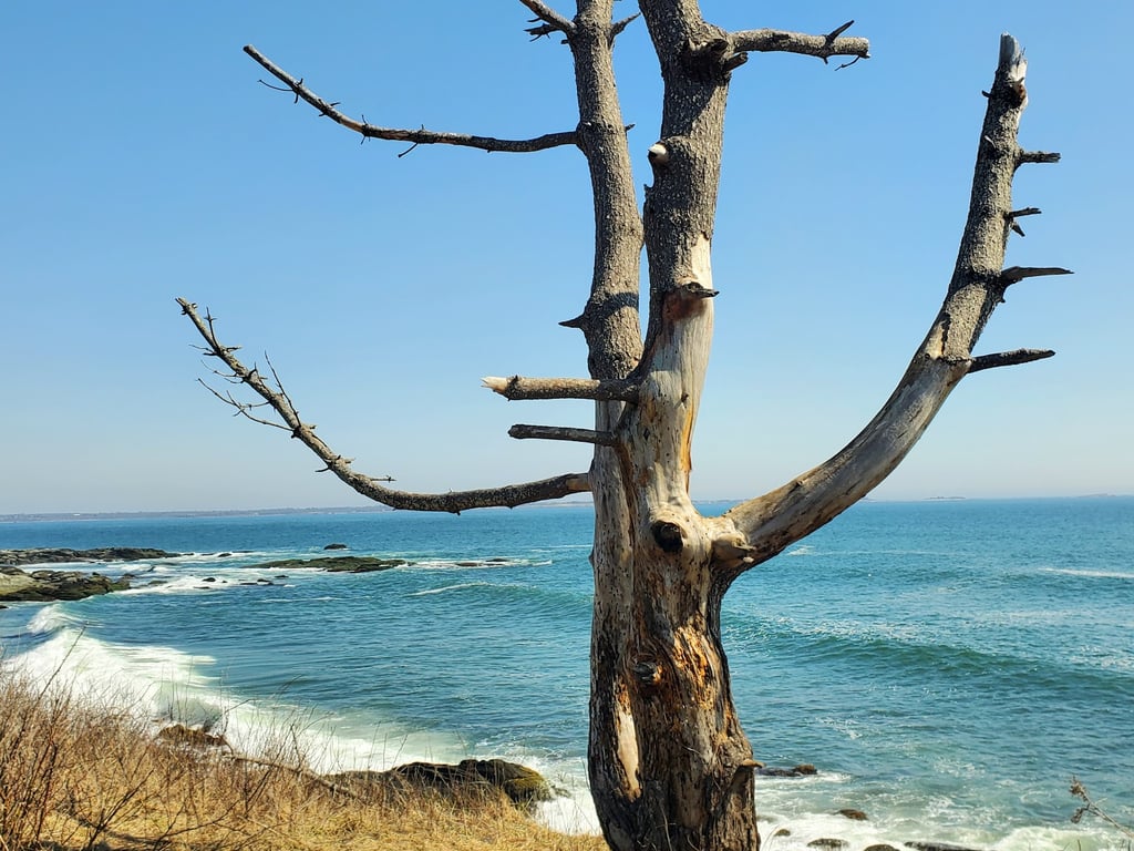 Sachuest Point National Wildlife Refuge