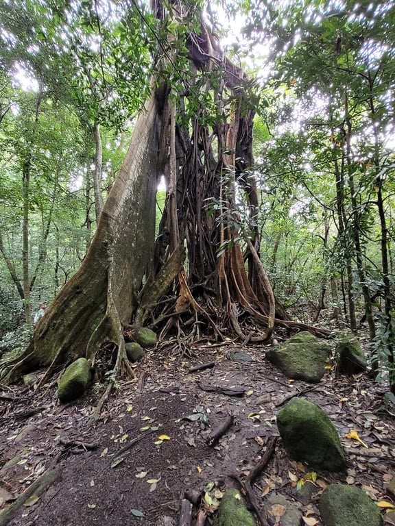 Rincon de la Vieja National Park