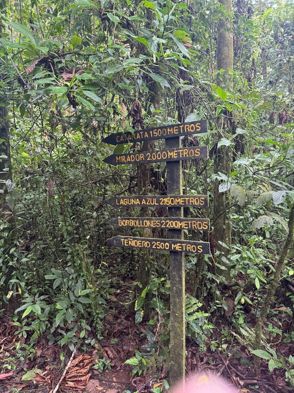 Rio Celeste Waterfall