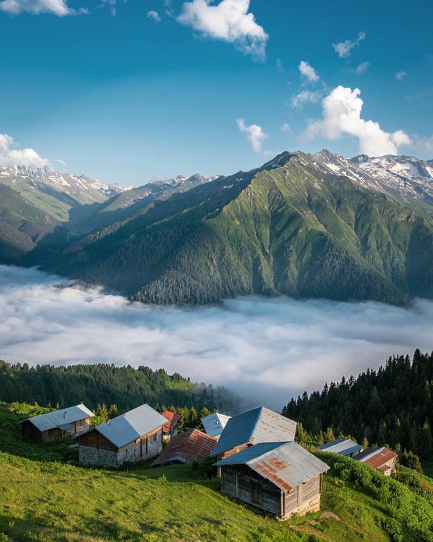 Pokut Yaylası