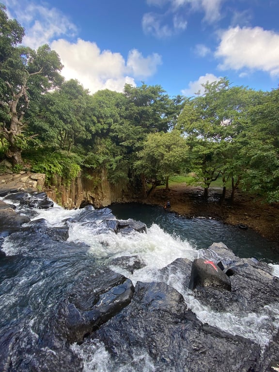 Rochester Falls