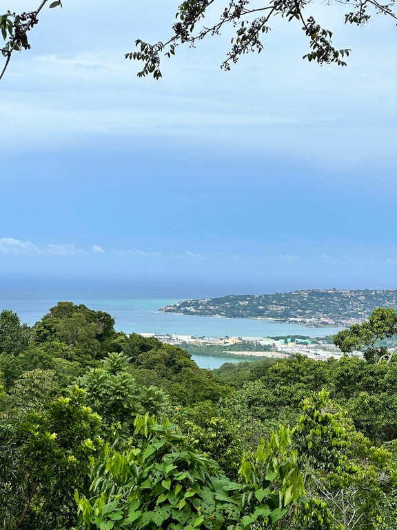 Rocklands Bird Sanctuary