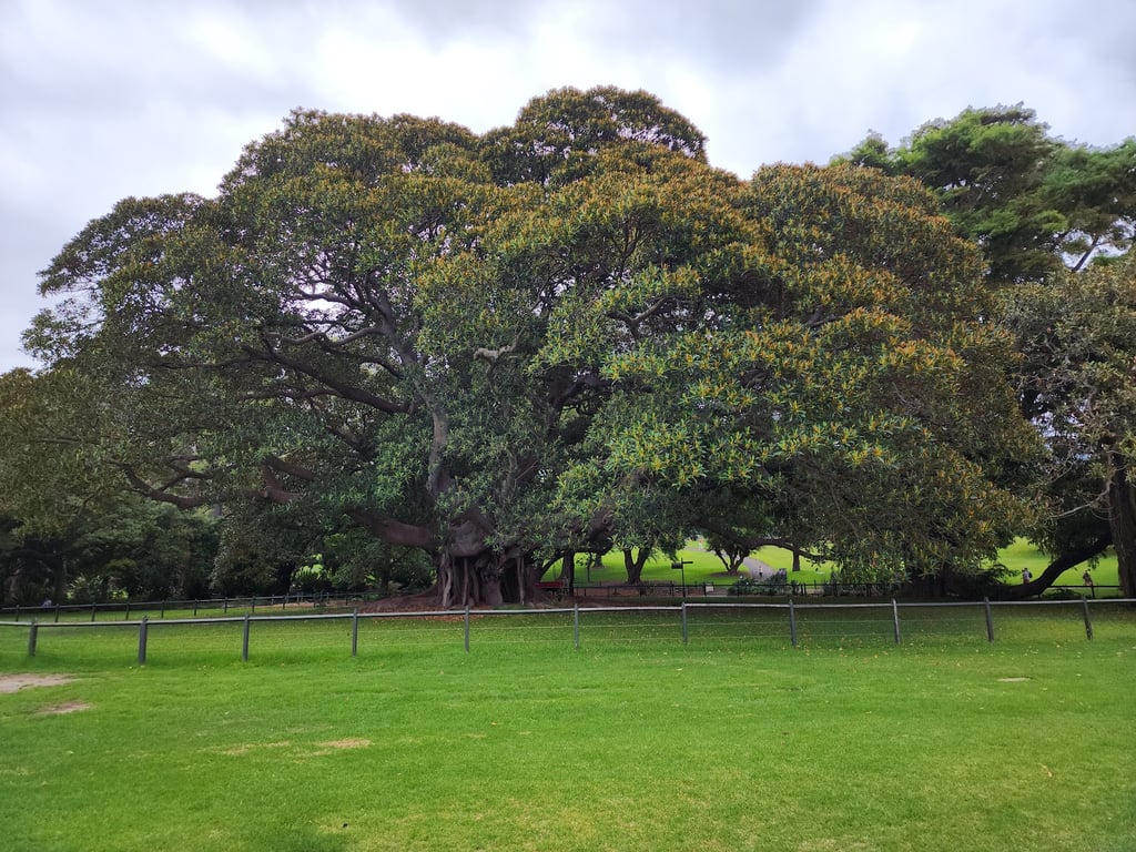 Royal Botanic Gardens