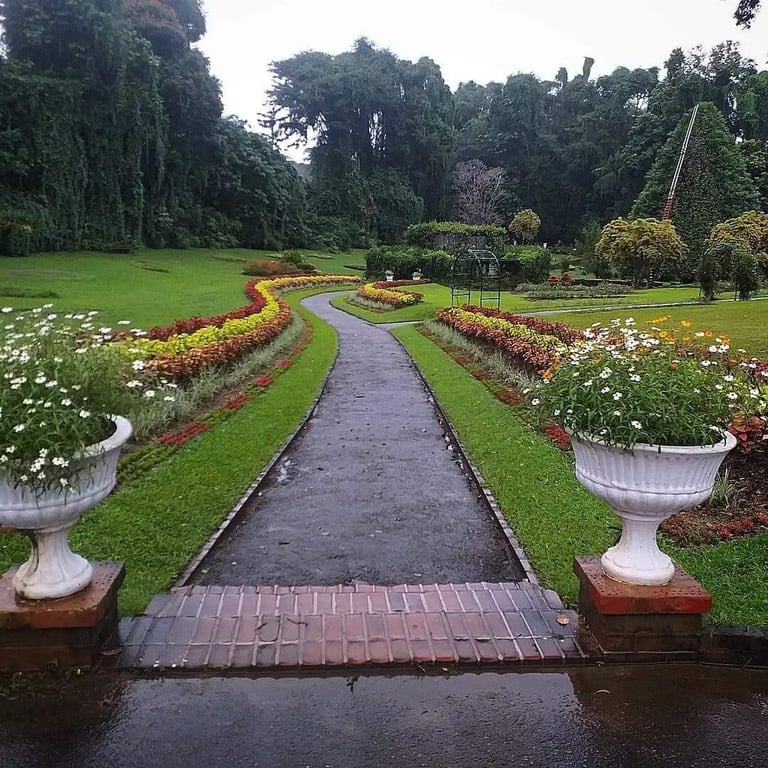 Royal Botanical Gardens