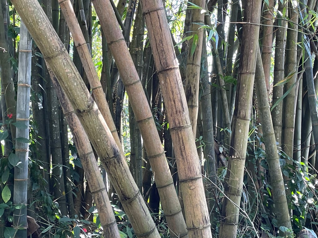 Royal Botanical Gardens