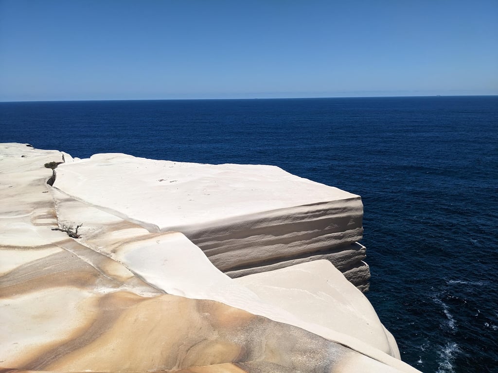 Royal National Park