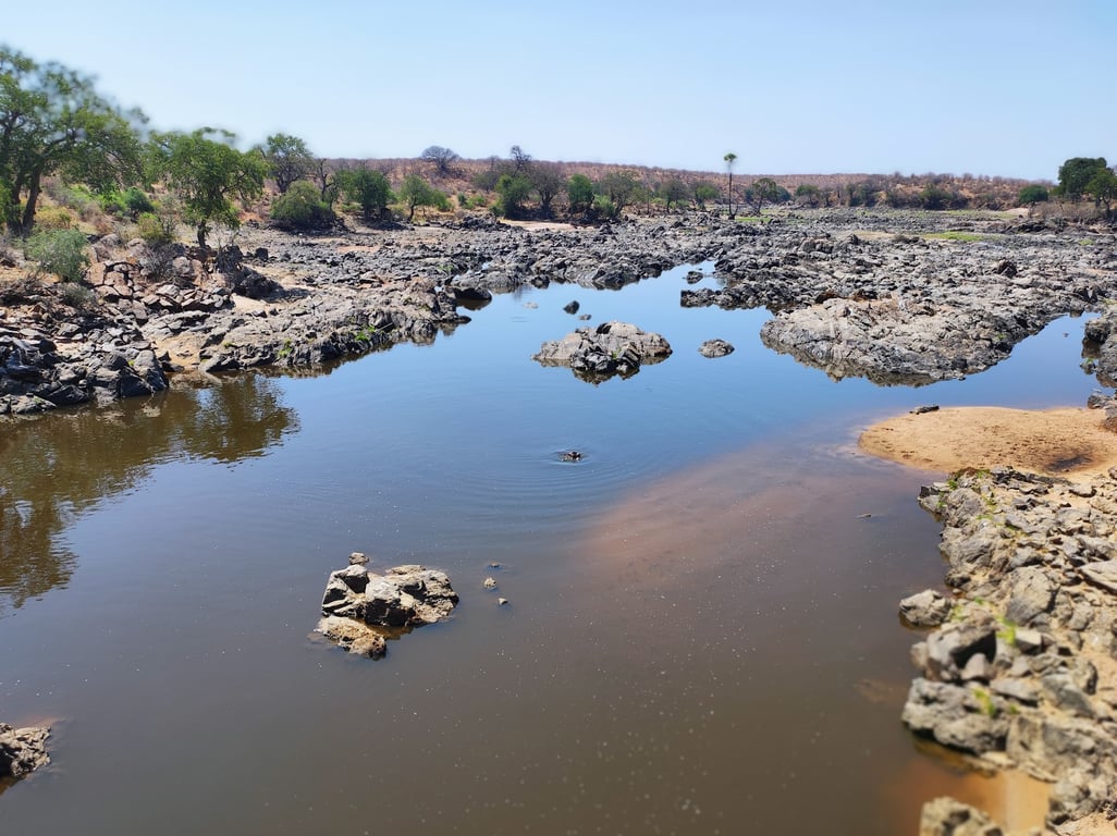 Ruaha National Park