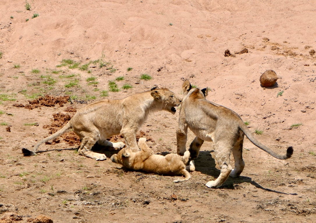 Ruaha National Park