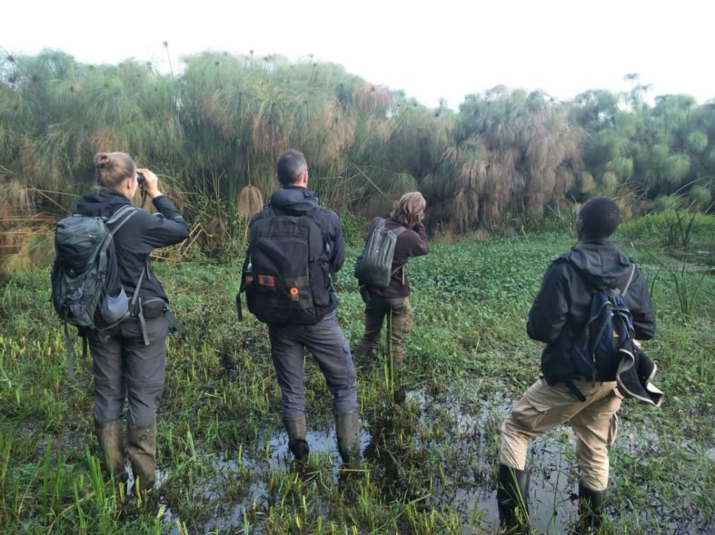 Rugezi Marsh