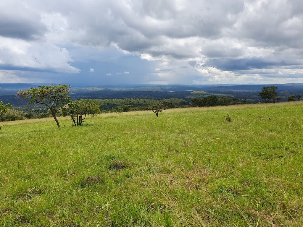 Ruvubu River Wilderness