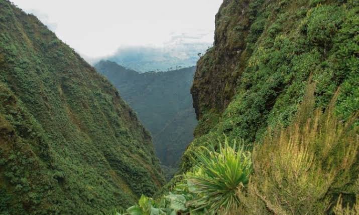 Rwenzori Mountains