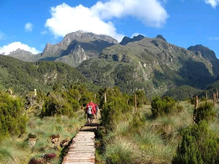 Rwenzori Mountains