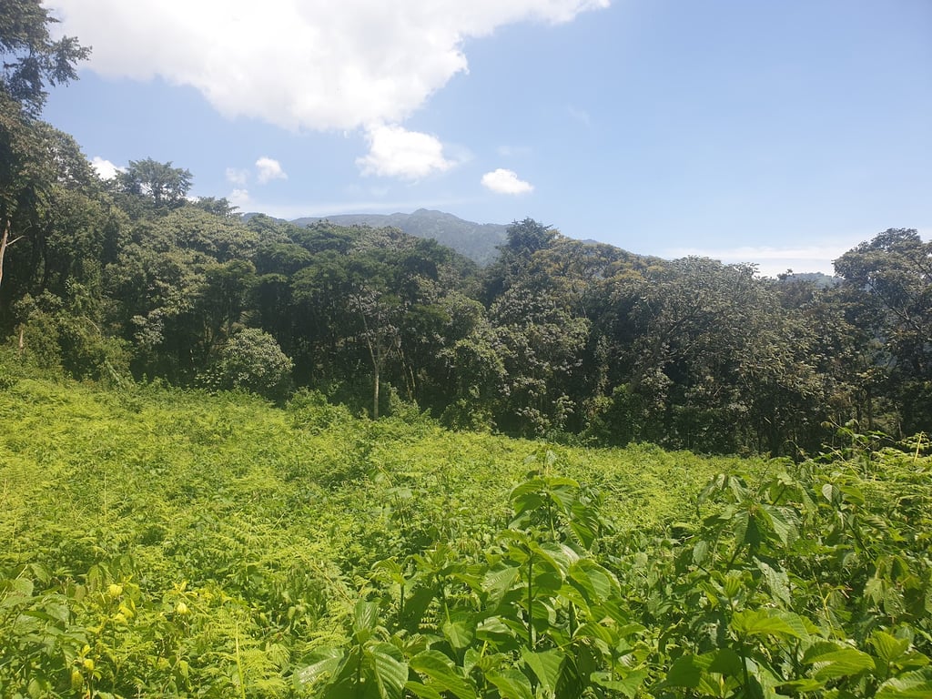Rwenzori Mountains