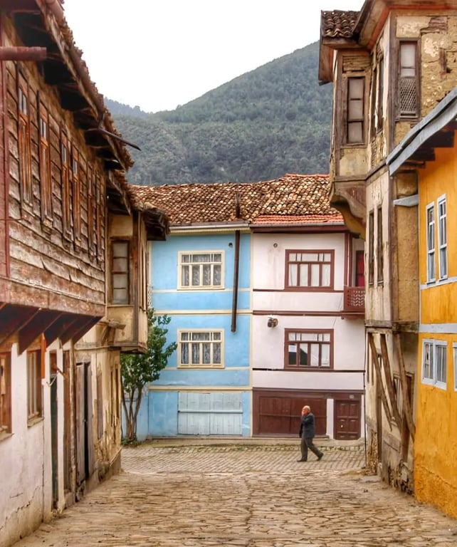 Taraklı Evleri