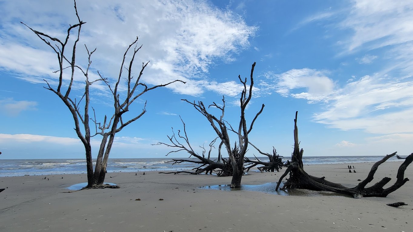 ACE Basin’s Botany Bay