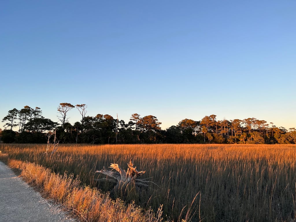 ACE Basin’s Botany Bay
