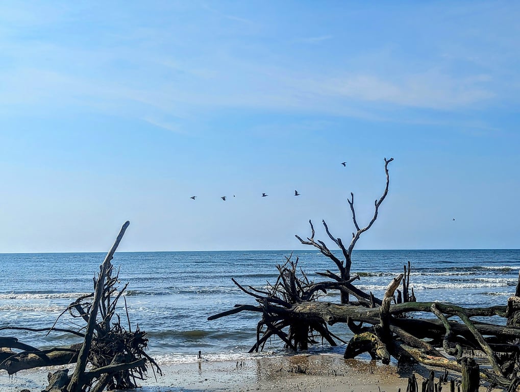 ACE Basin’s Botany Bay