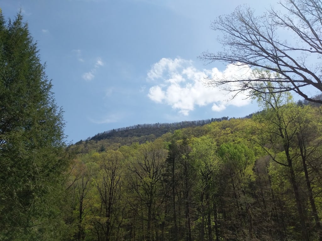 Jones Gap State Park