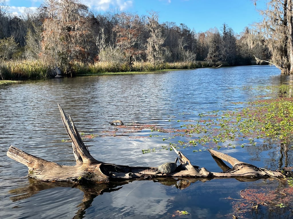 Old Santee Canal Park