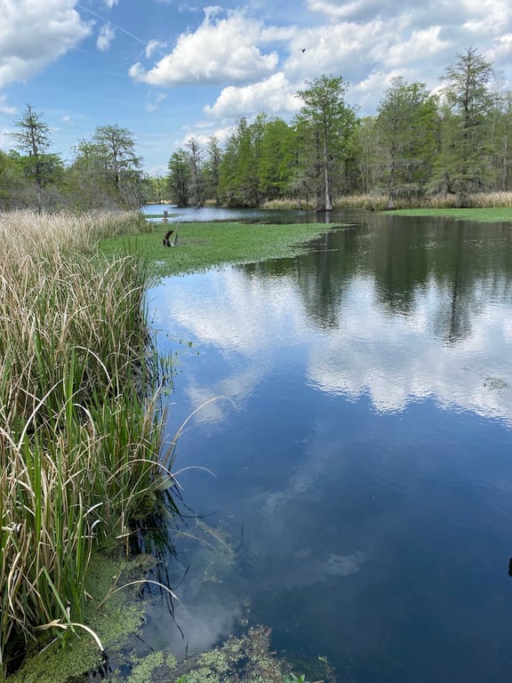 Old Santee Canal Park