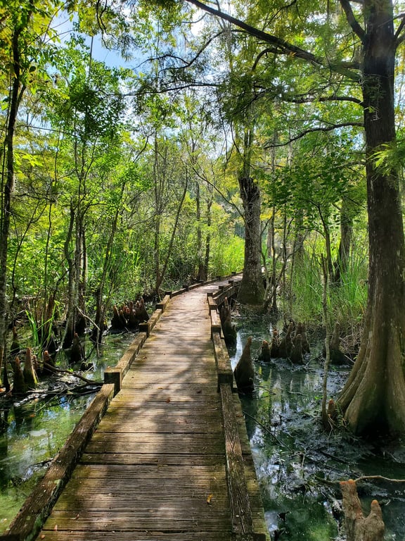 Old Santee Canal Park