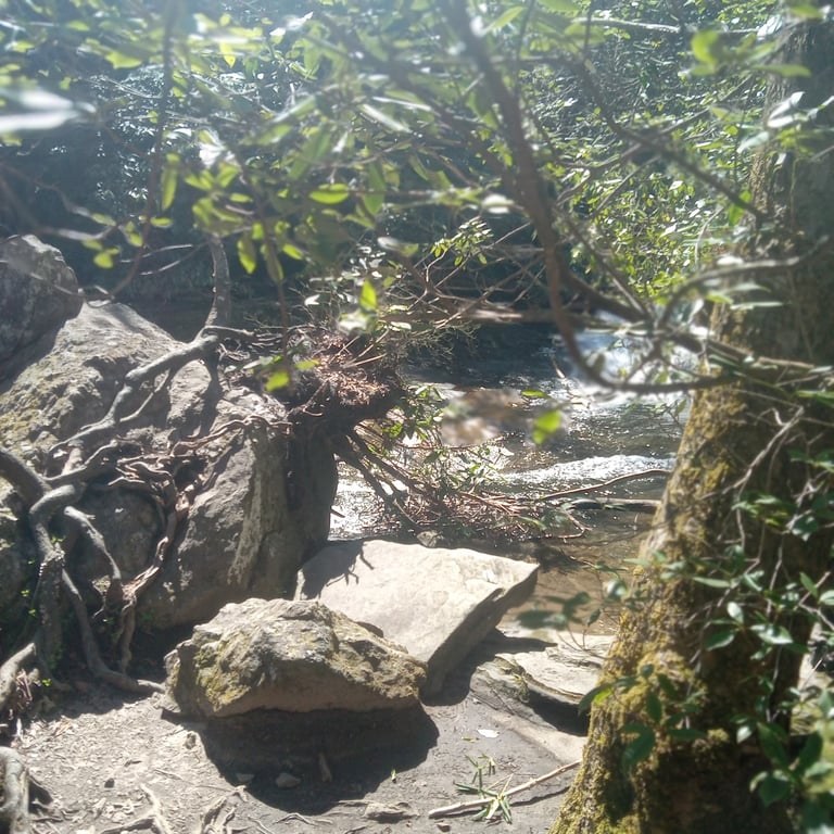 Raven Cliff Falls
