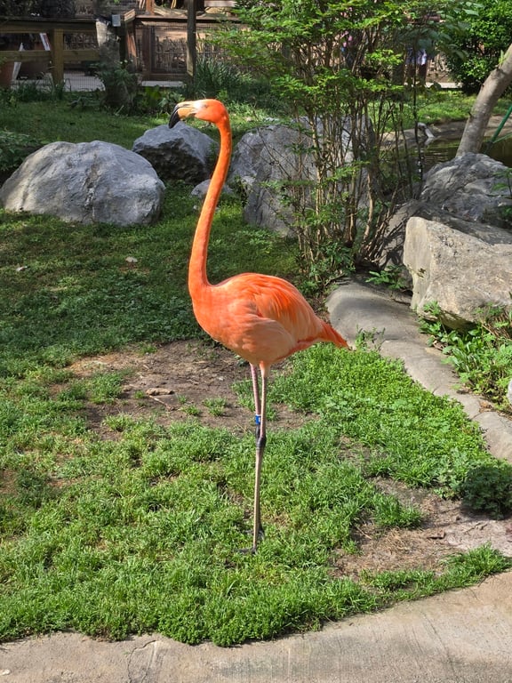Riverbanks Zoo & Botanical Garden