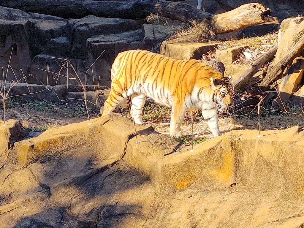 Riverbanks Zoo & Botanical Garden