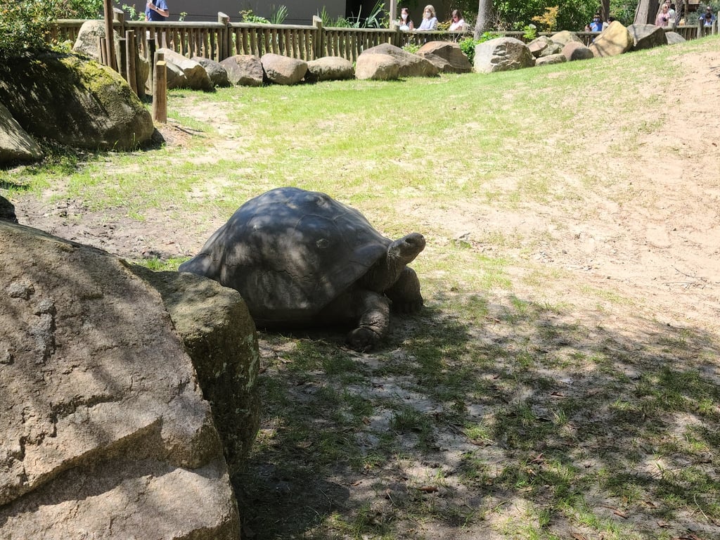 Riverbanks Zoo & Botanical Garden