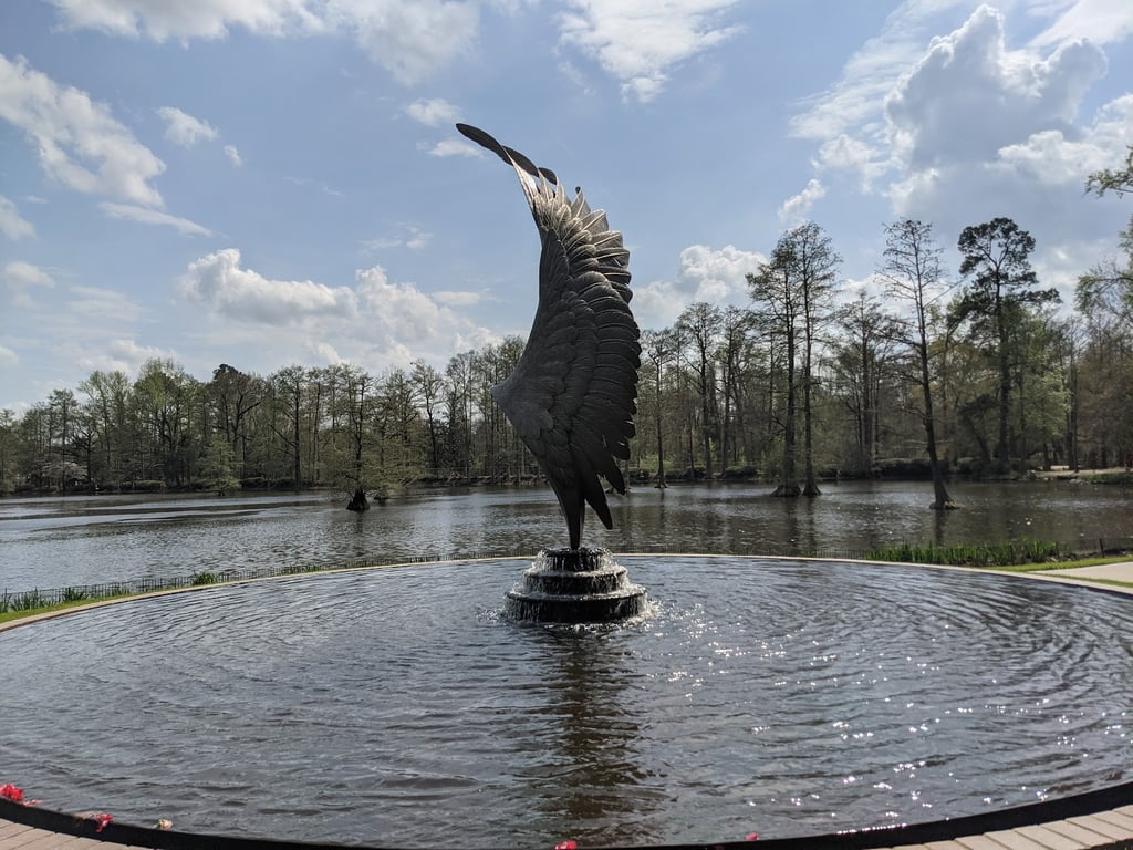 Swan Lake Iris Gardens