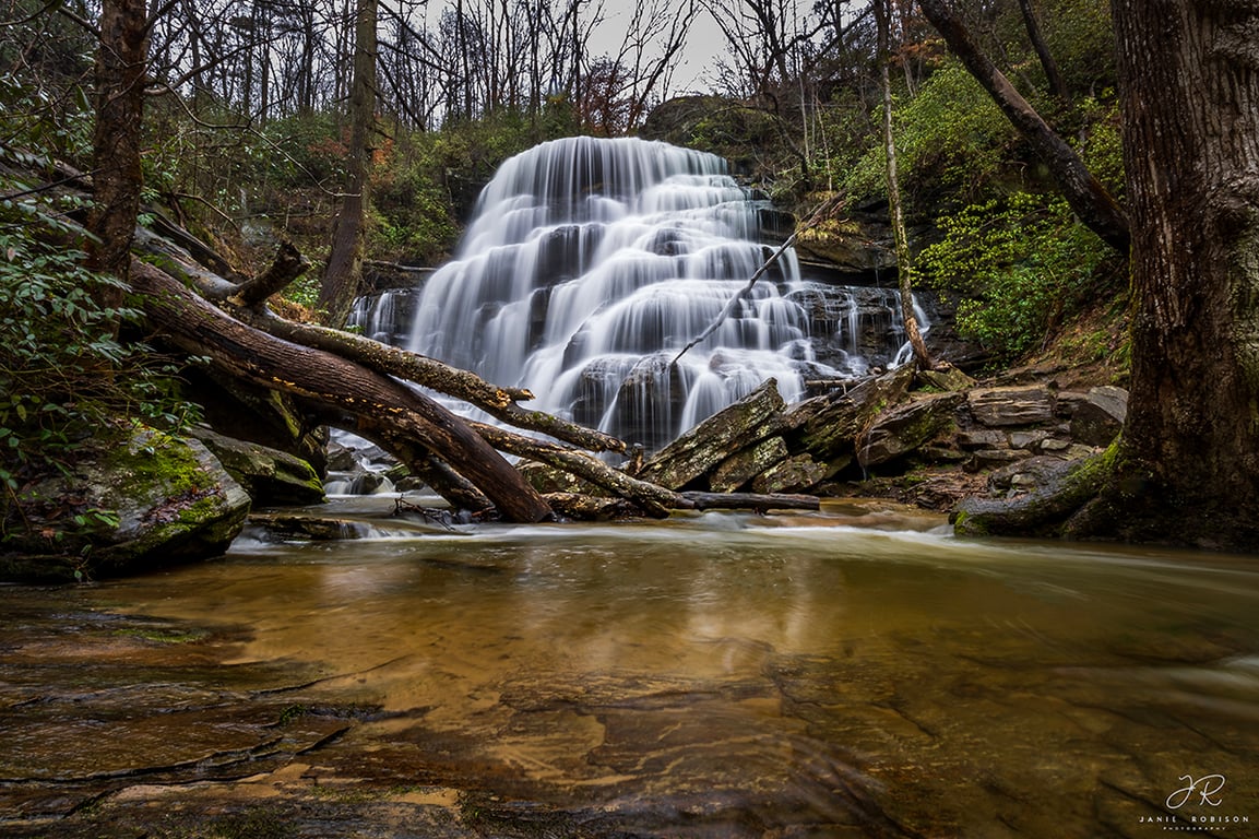 Yellow Branch Falls