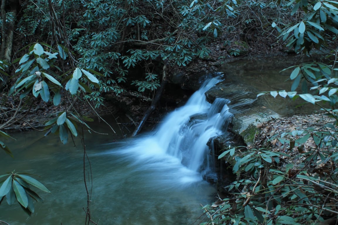 Yellow Branch Falls
