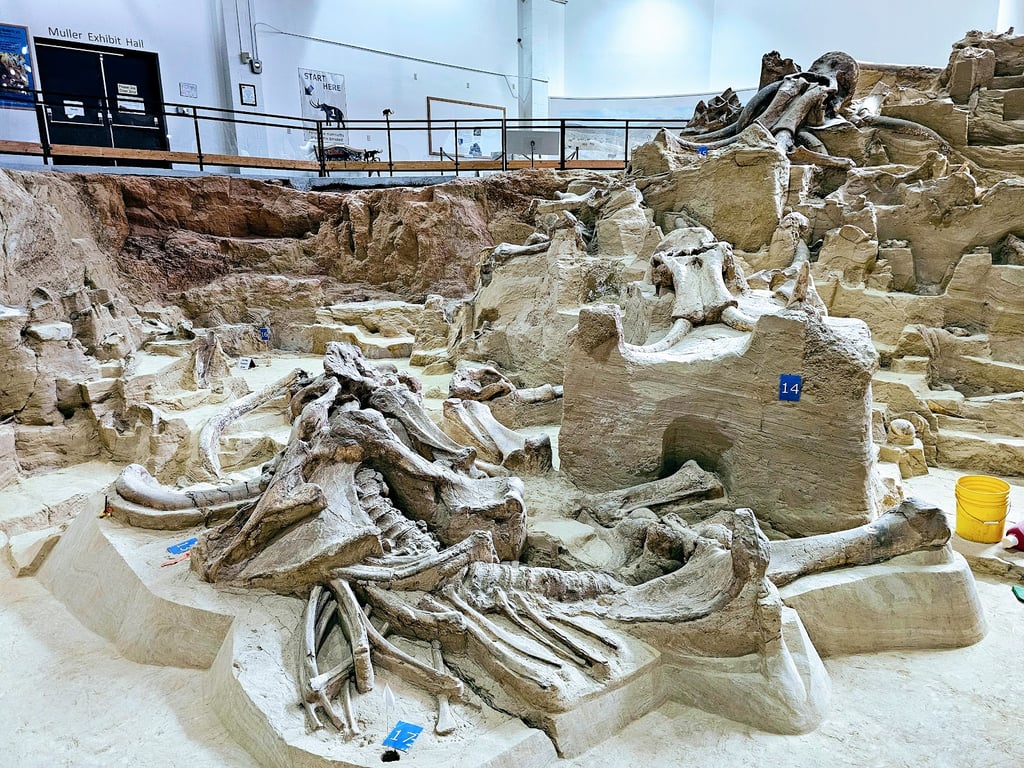 Mammoth Site