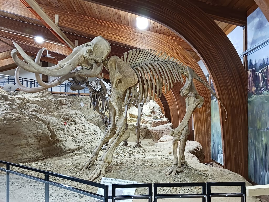 Mammoth Site
