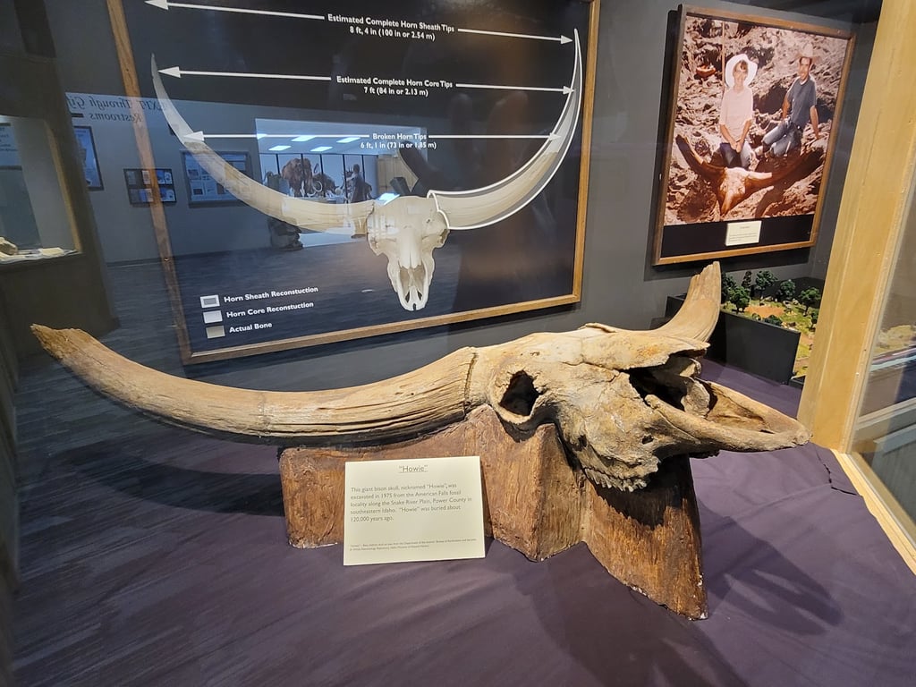 Mammoth Site