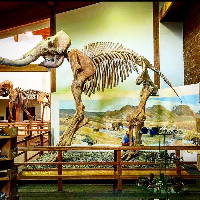 Mammoth Site