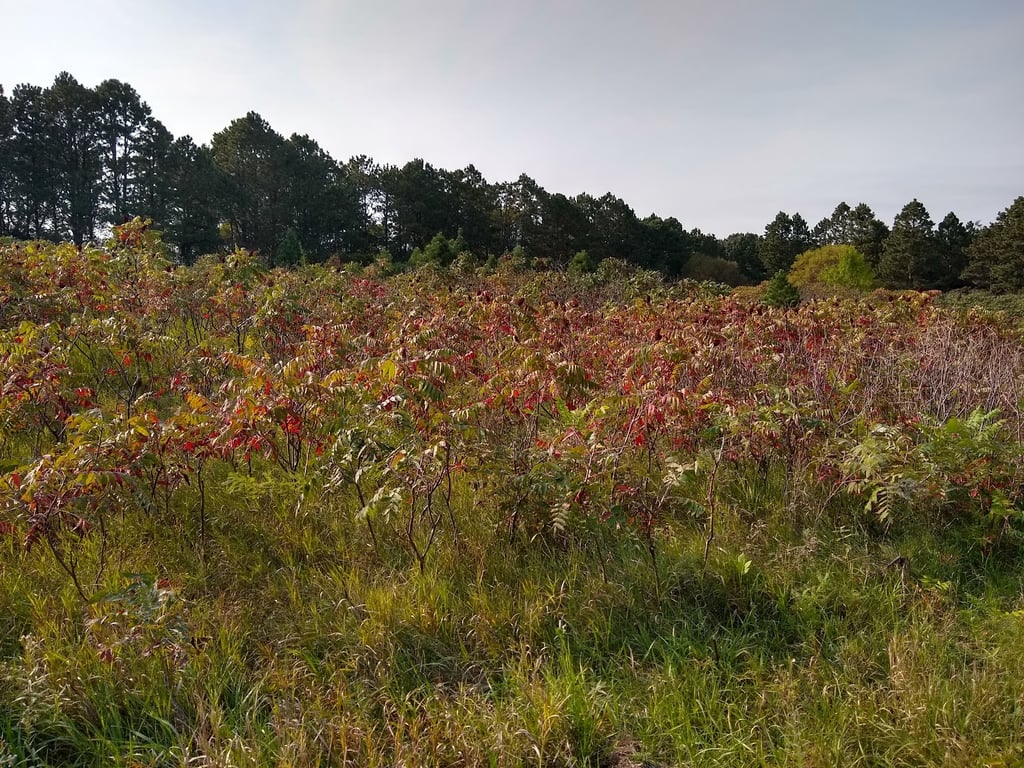 Newton Hills State Park