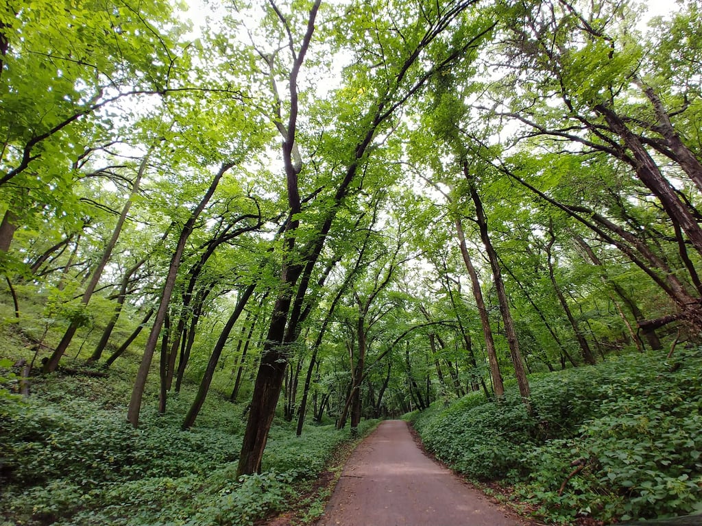 Newton Hills State Park