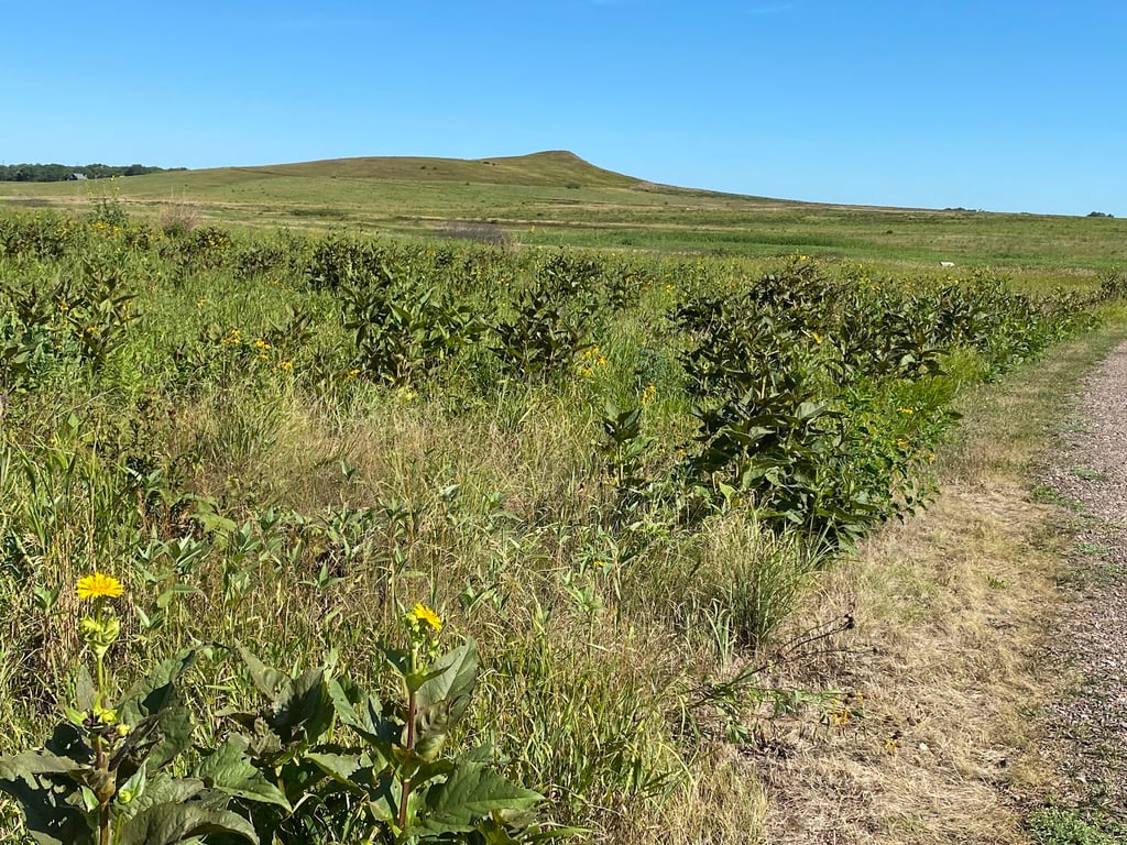 Spirit Mound Historic Prairie
