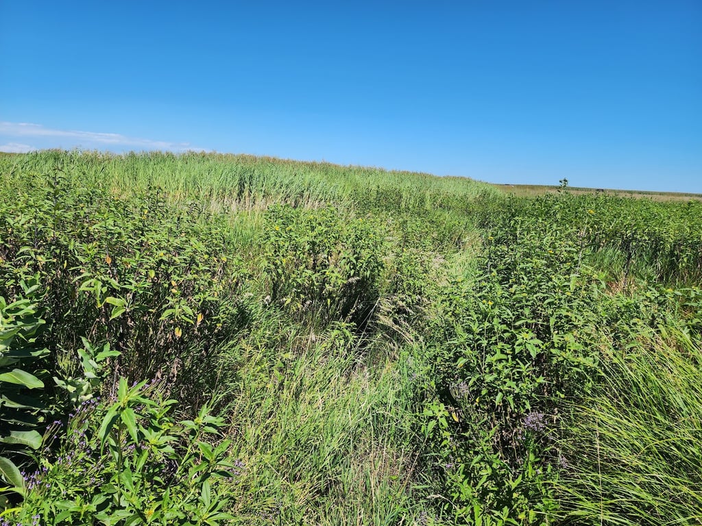 Spirit Mound Historic Prairie