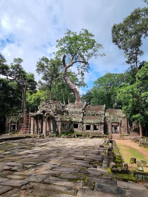 Ta Prohm Temple