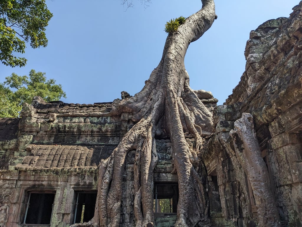 Ta Prohm Temple