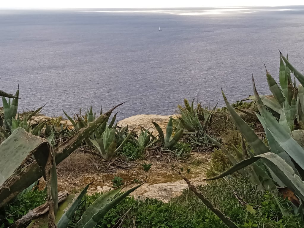 Ta’ Ċenċ Cliffs