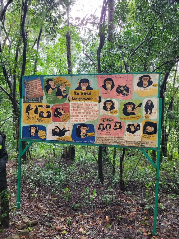 Tacugama Chimpanzee Sanctuary