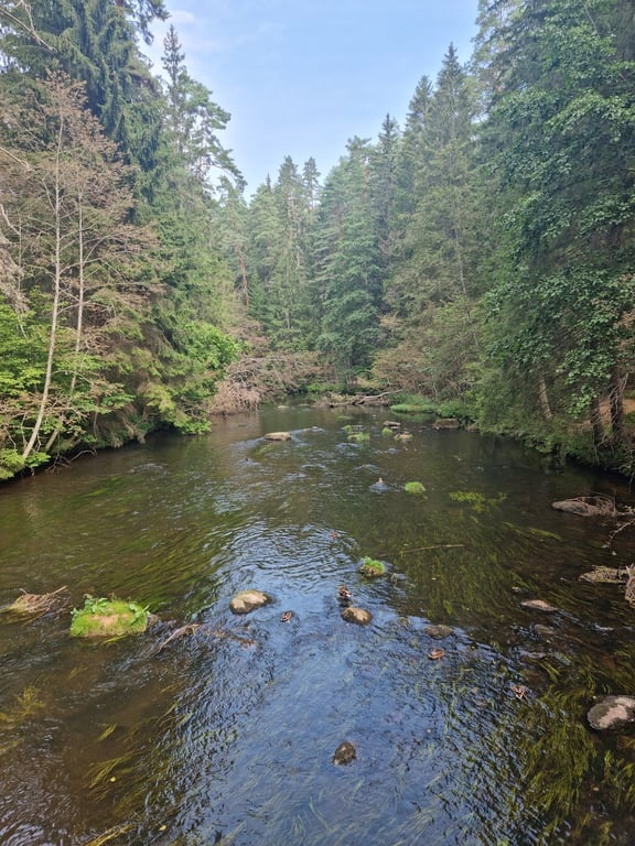 Taevaskoja Sandstone Gorge